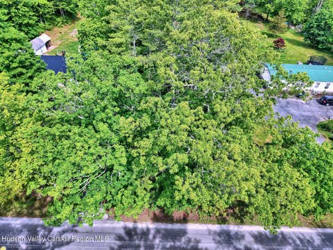 Vacant Land For Sale - 396 Frank Hitchcock Road<br/> Cairo, NY 12413