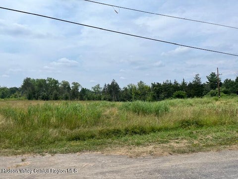 Vacant Land For Sale - LOT 5 Pulcher Avenue Ave<br/> Hudson, NY 12534
