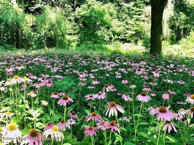 Saugerties, New York 12477, United States, 2 Bedrooms Bedrooms, ,2 BathroomsBathrooms,Residential,Pending,131042