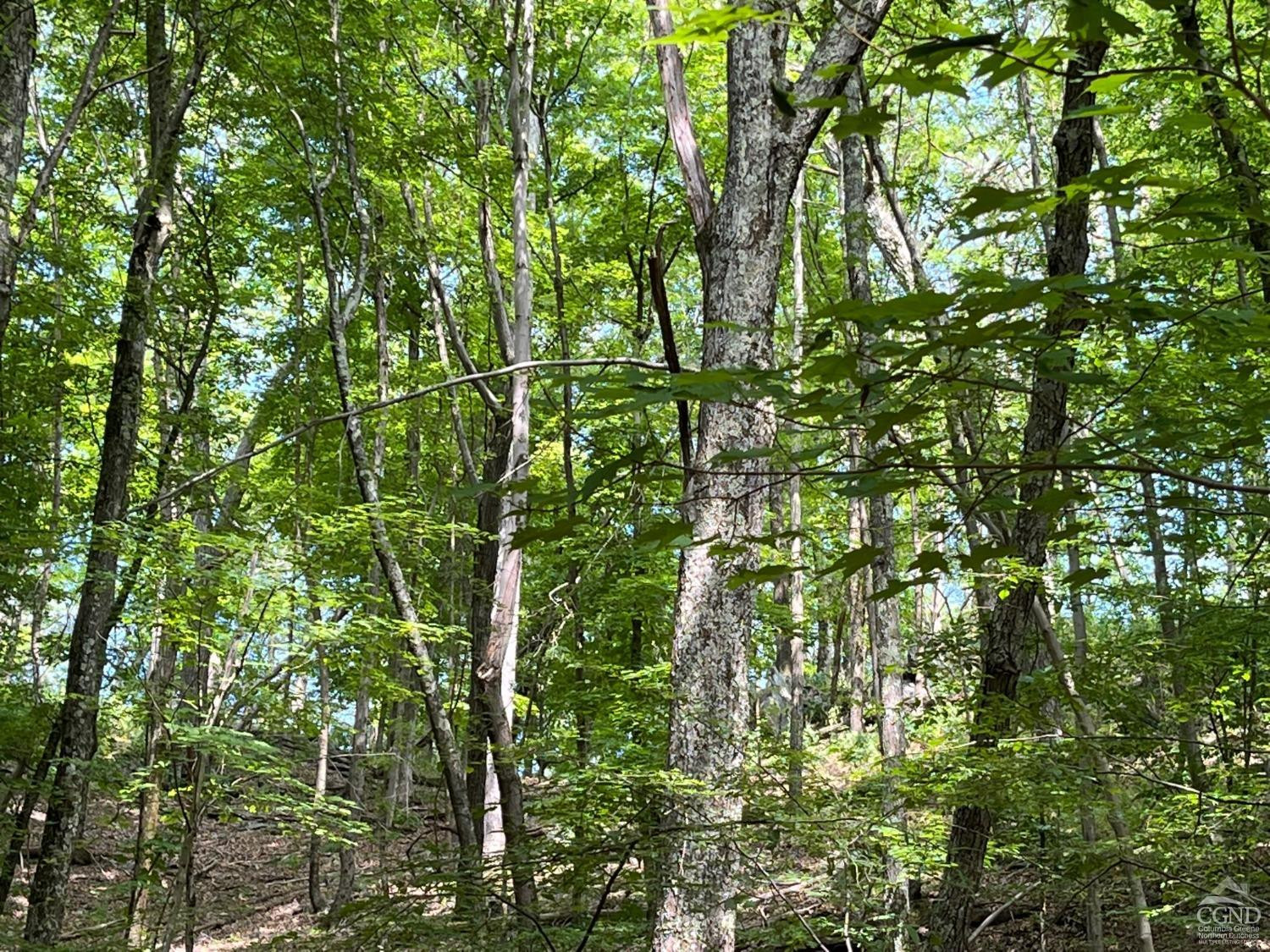Mount Ross Road, Pine Plains, New York image 3