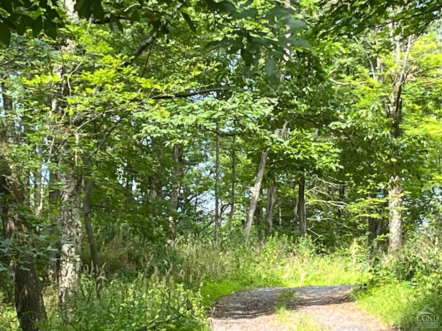 Mount Ross Road, Pine Plains, New York image 4