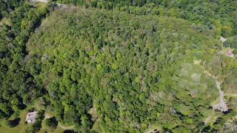 Vacant Land For Sale - Mount Ross Road<br/> Pine Plains, NY 12567