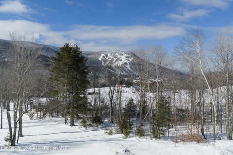 Vacant Land For Sale - LOT 4 Ruth Court<br/> Hunter, NY 12442