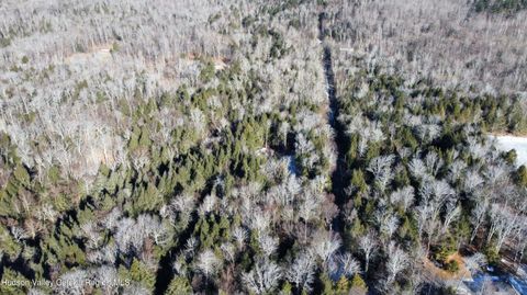 Vacant Land For Sale - 139 Woodland Trail<br/> Greene County, East Jewett, NY 12424