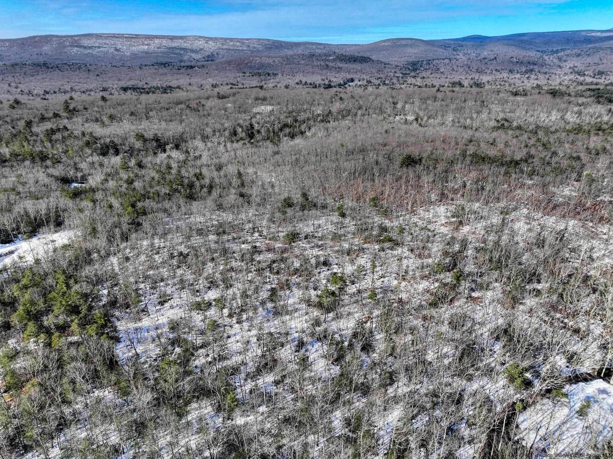 Kerhonkson, New York 12446, United States, ,Land,Pending,66625