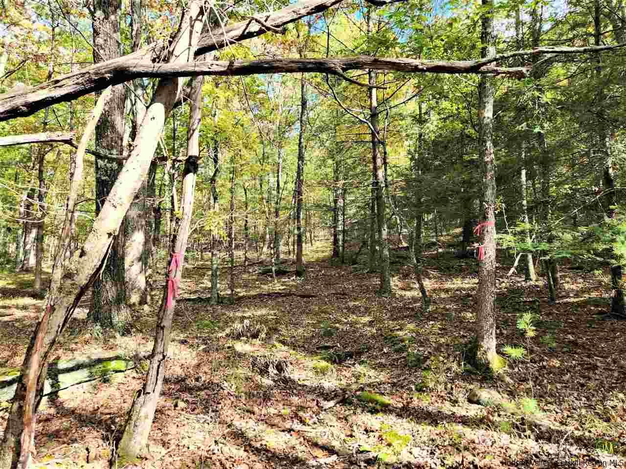 Kerhonkson, New York 12446, United States, ,Land,Pending,66625