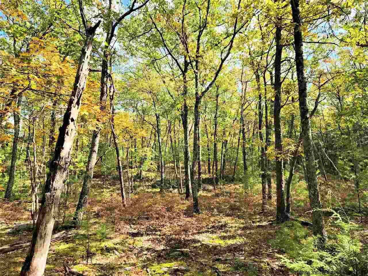 Kerhonkson, New York 12446, United States, ,Land,Pending,66625