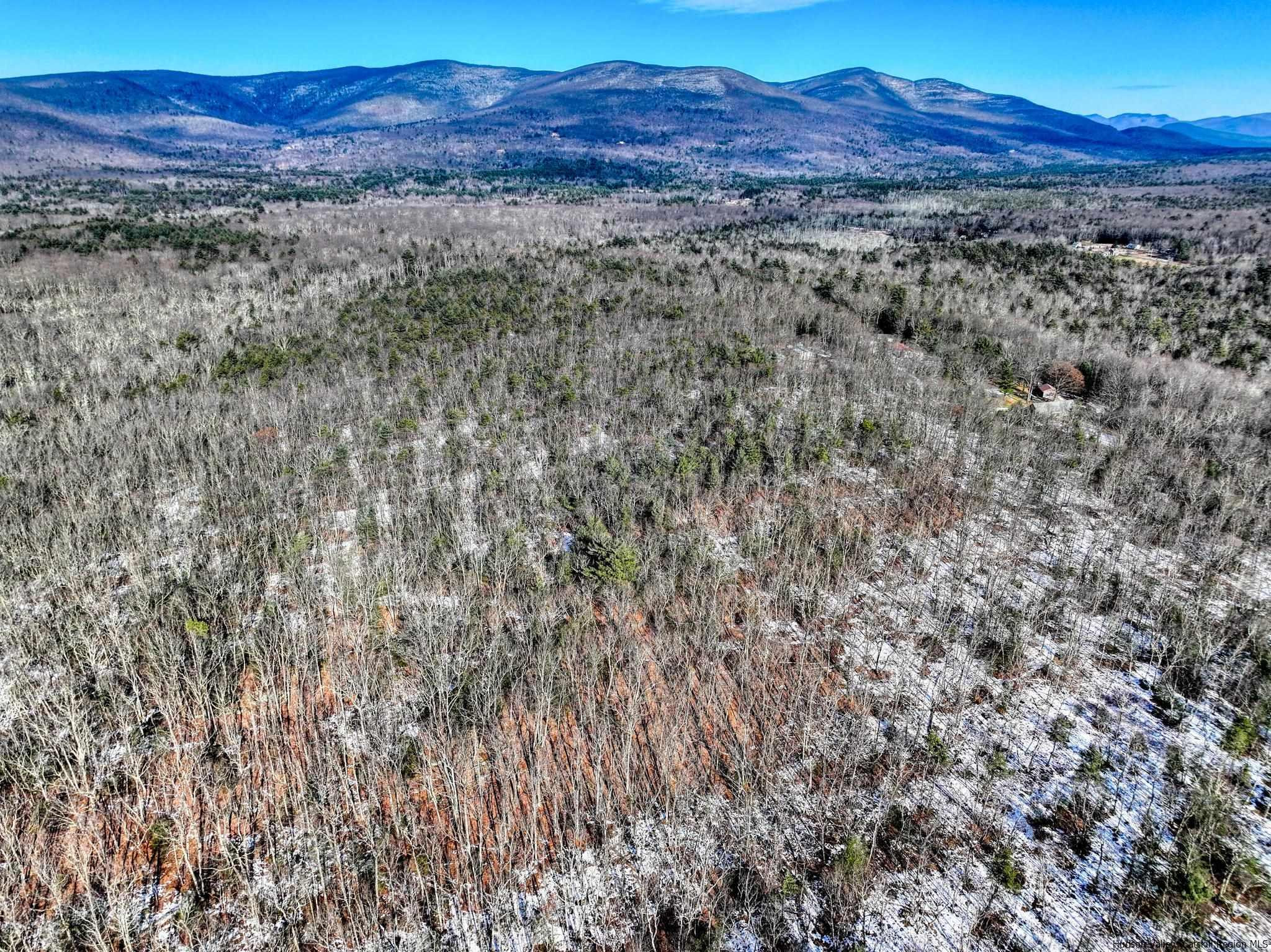 Kerhonkson, New York 12446, United States, ,Land,Pending,66625