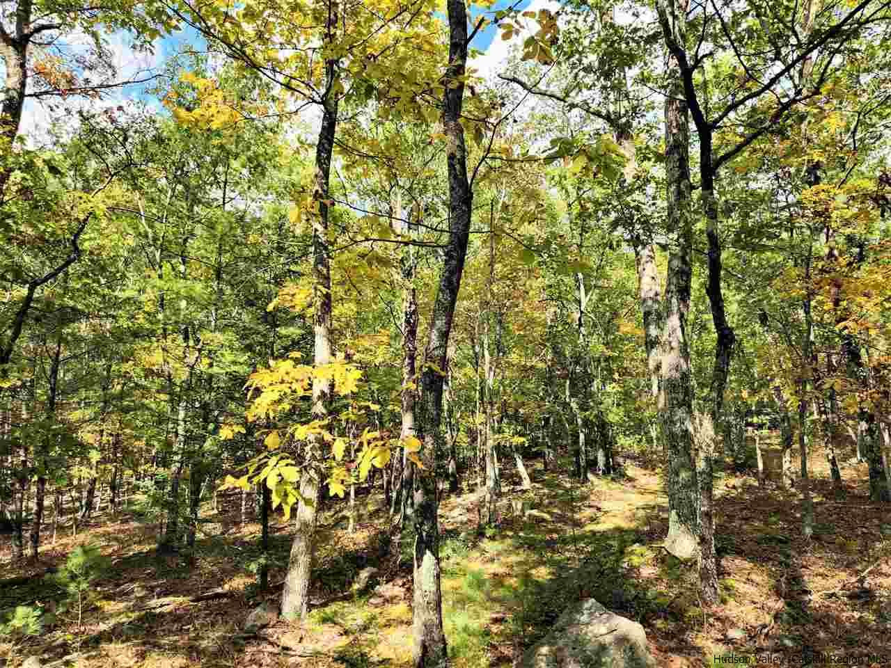 Kerhonkson, New York 12446, United States, ,Land,Pending,66625