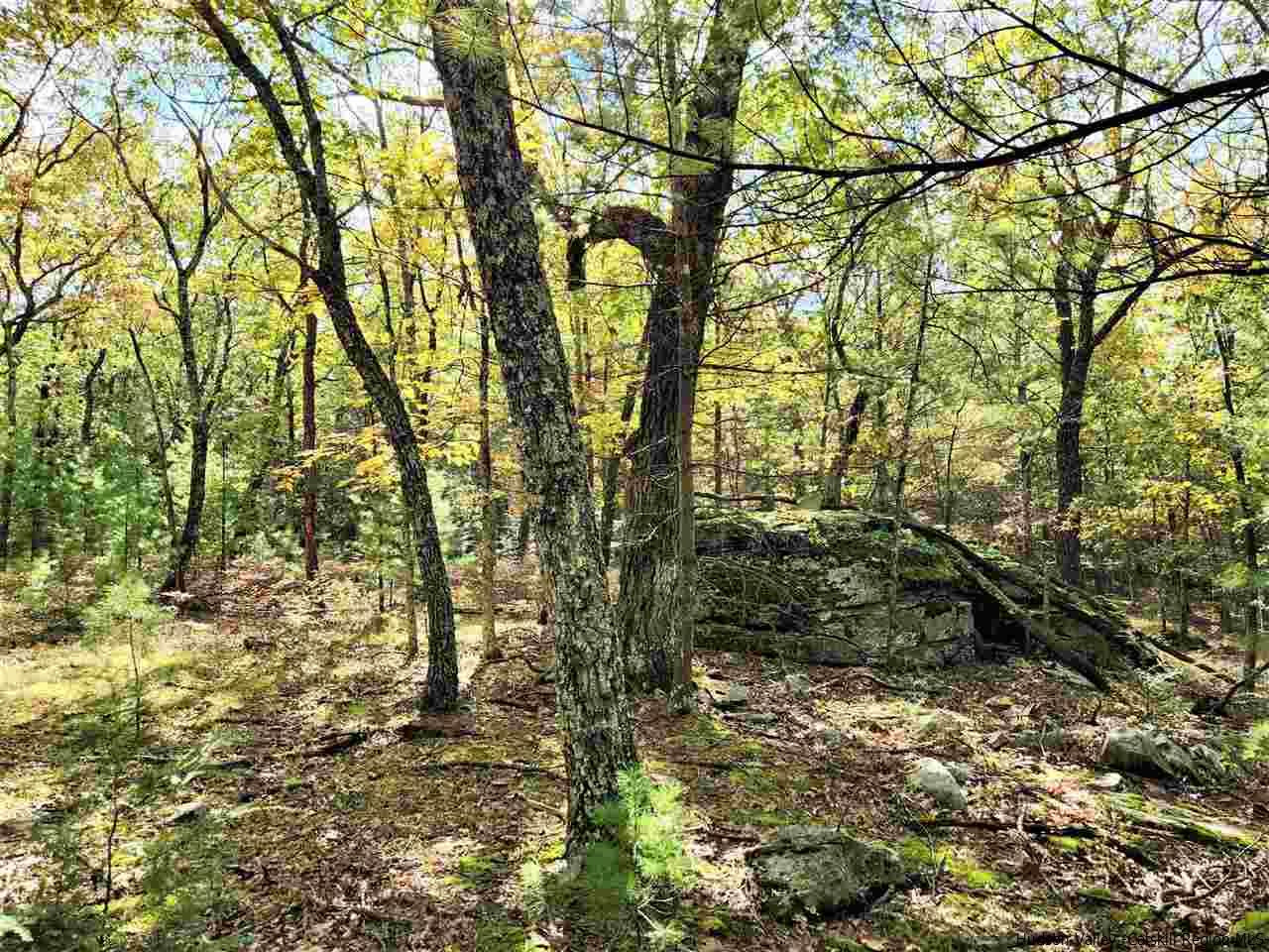 Kerhonkson, New York 12446, United States, ,Land,Pending,66625