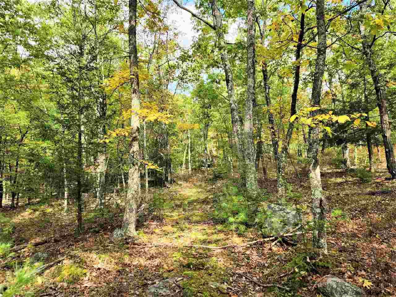 Kerhonkson, New York 12446, United States, ,Land,Pending,66625