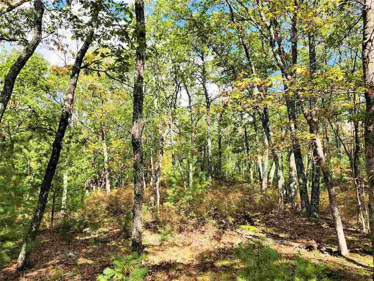 Kerhonkson, New York 12446, United States, ,Land,Pending,66625