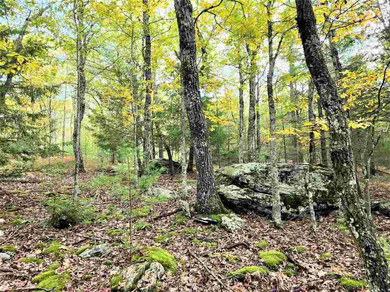 Kerhonkson, New York 12446, United States, ,Land,Pending,66625