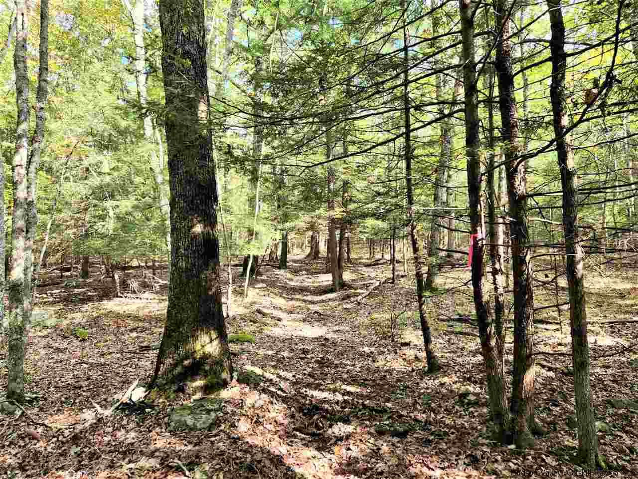 Kerhonkson, New York 12446, United States, ,Land,Pending,66625