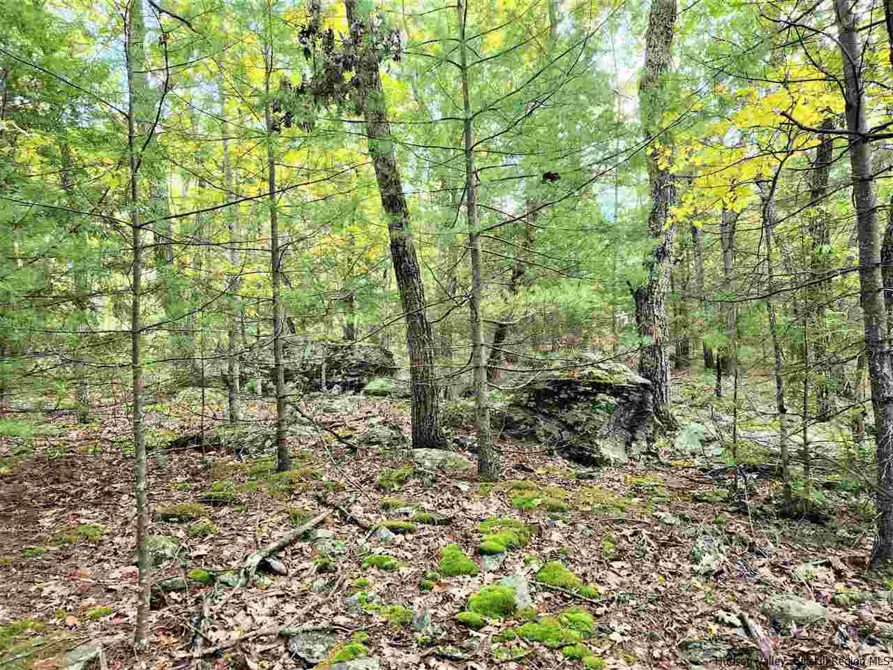 Kerhonkson, New York 12446, United States, ,Land,Pending,66625