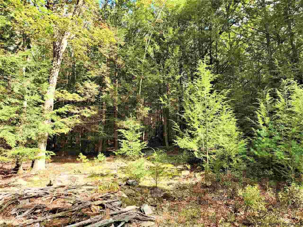 Kerhonkson, New York 12446, United States, ,Land,Pending,66625