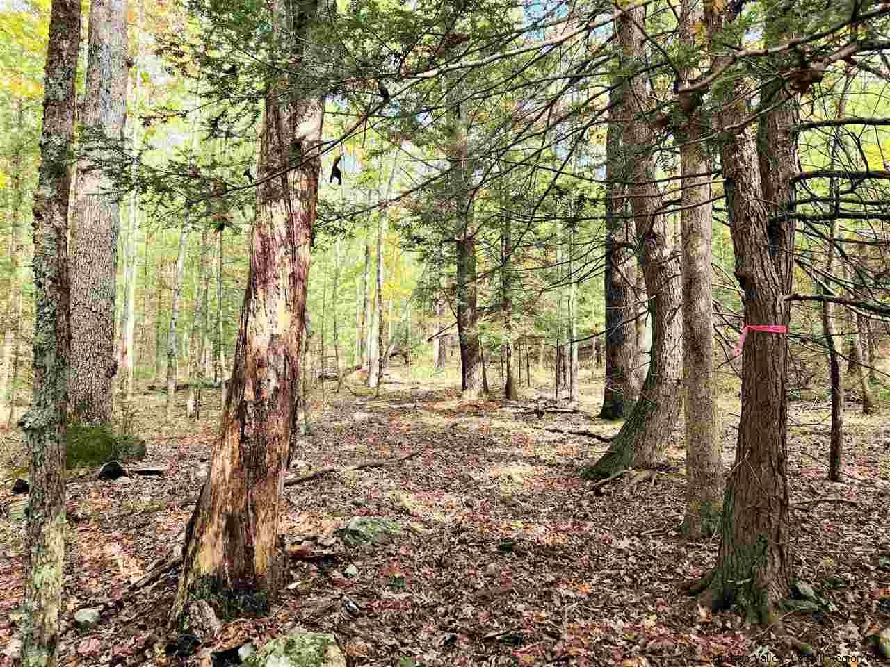 Kerhonkson, New York 12446, United States, ,Land,Pending,66625