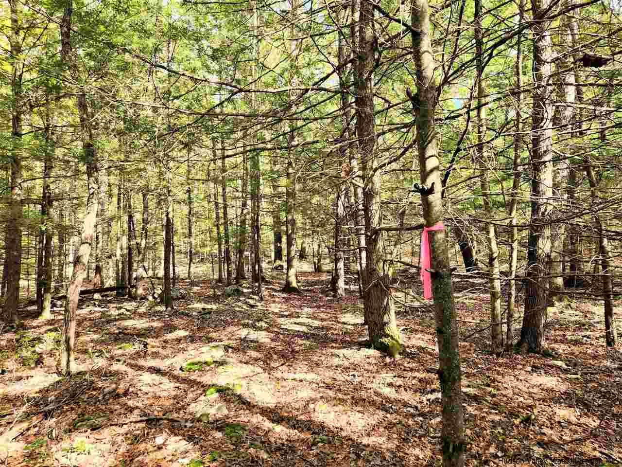 Kerhonkson, New York 12446, United States, ,Land,Pending,66625