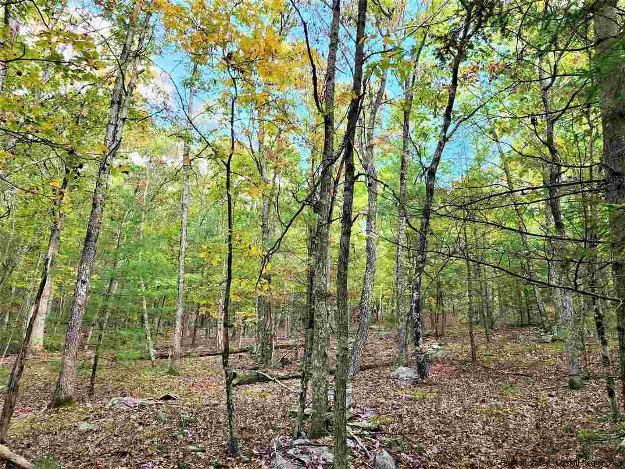 Kerhonkson, New York 12446, United States, ,Land,Pending,66625