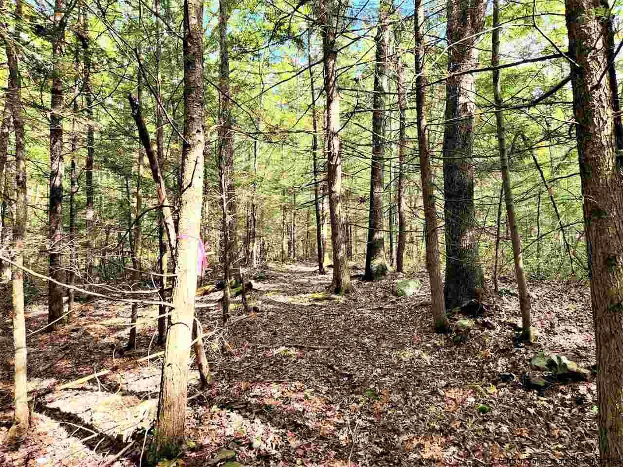 Kerhonkson, New York 12446, United States, ,Land,Pending,66625