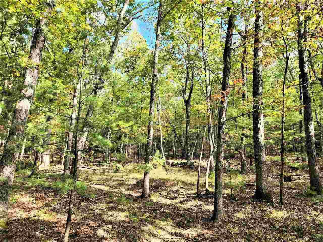 Kerhonkson, New York 12446, United States, ,Land,Pending,66625