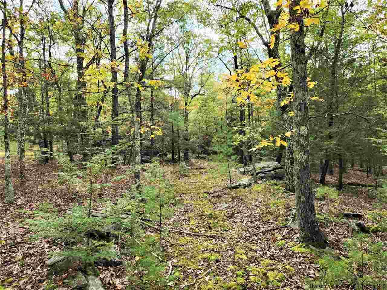 Kerhonkson, New York 12446, United States, ,Land,Pending,66625