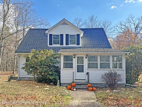 Photo of 376 Band Camp Road, Saugerties, NY 12477 (MLS # 20255626)