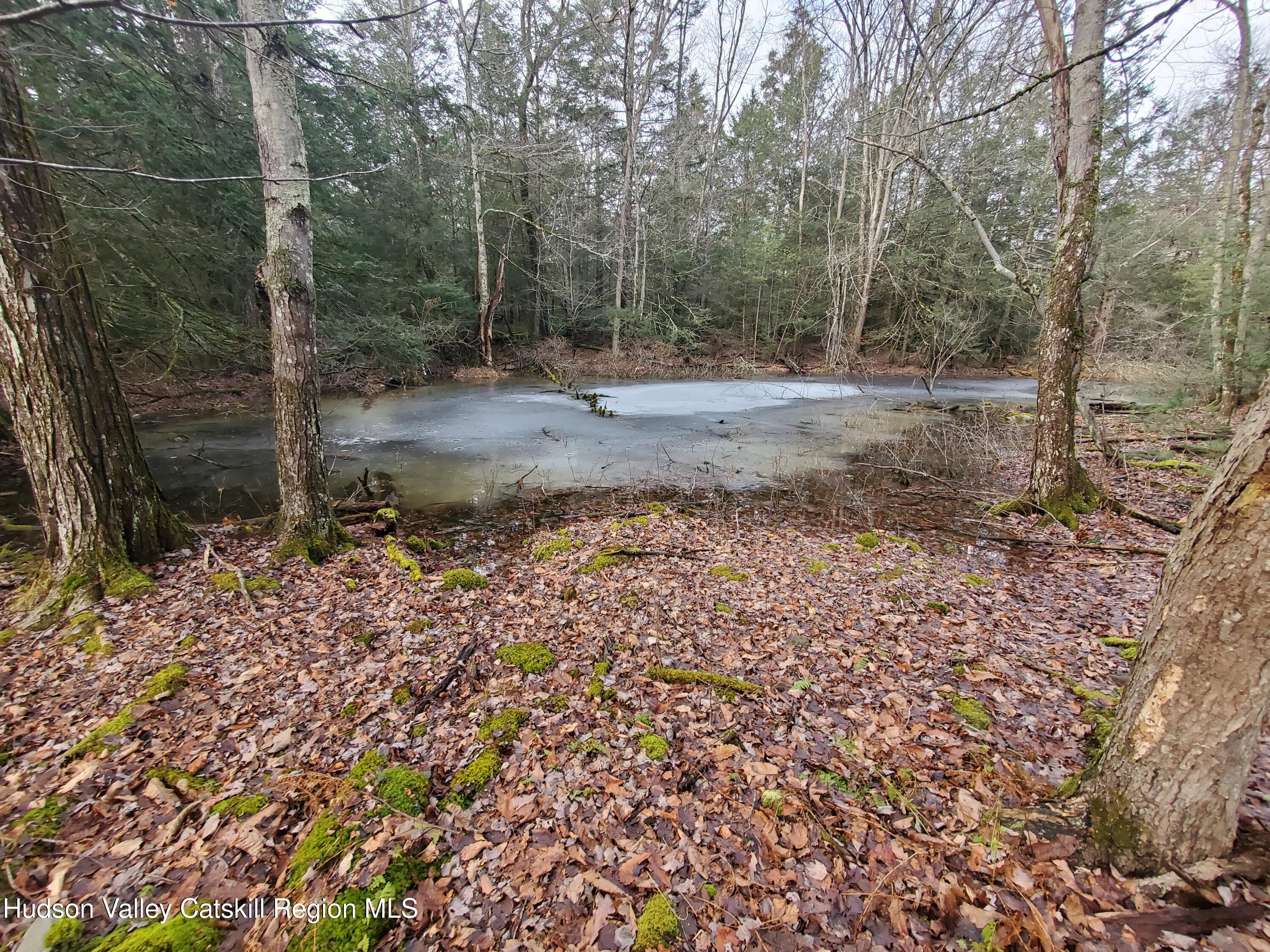 106 Schwabie Turnpike, Kerhonkson, Ohio image 15