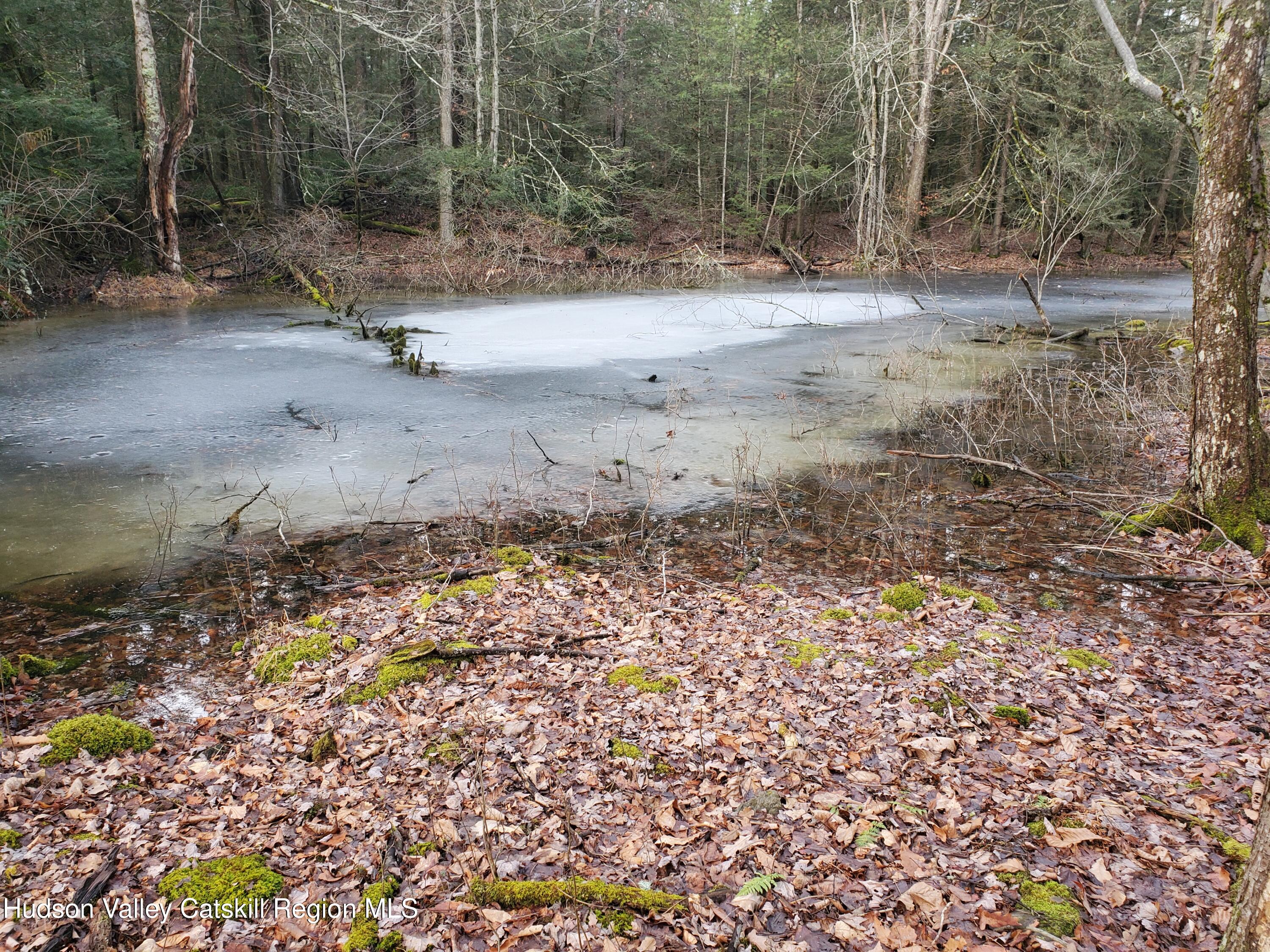 106 Schwabie Turnpike, Kerhonkson, Ohio image 17
