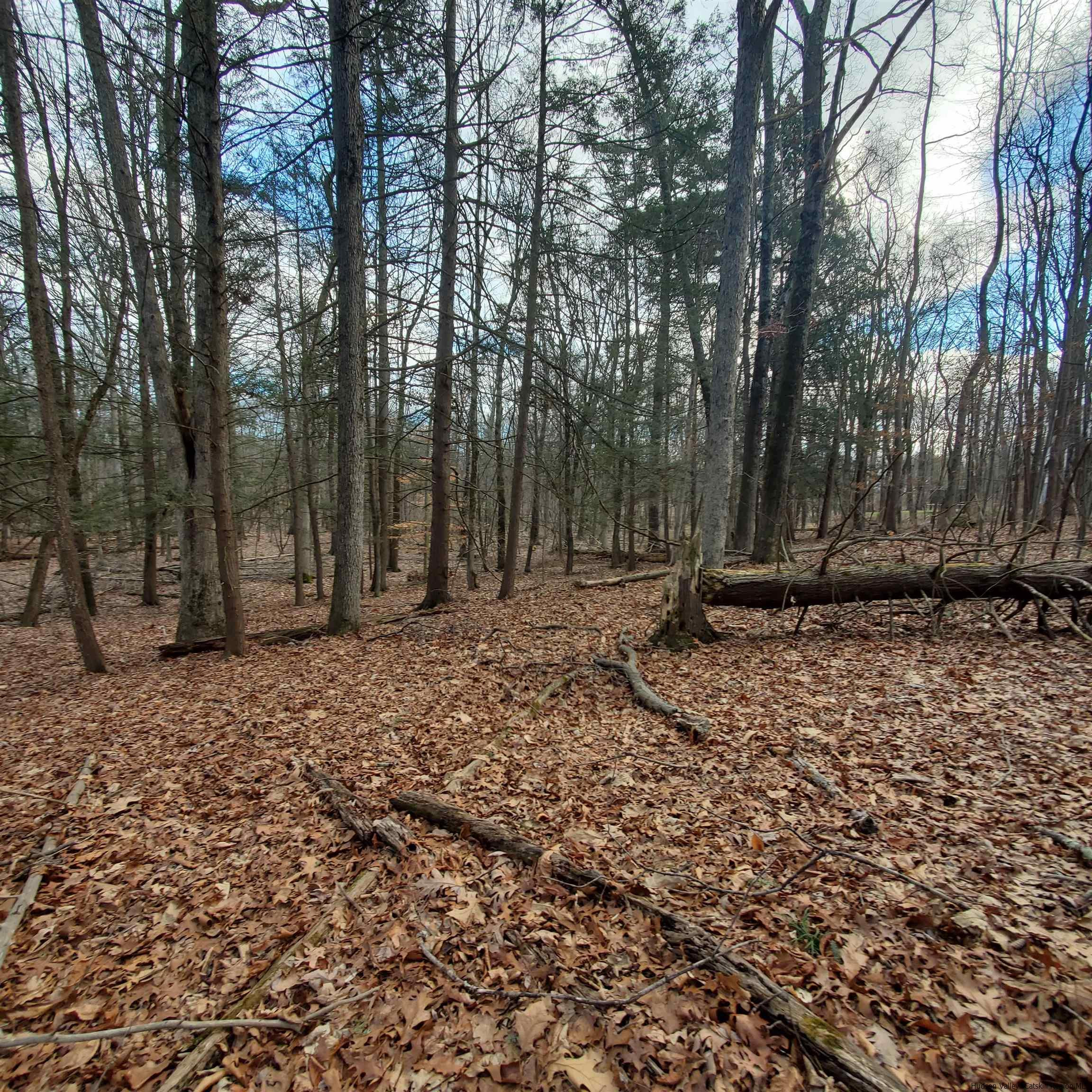 New Paltz, New York 12561, United States, ,Land,Pending,71460