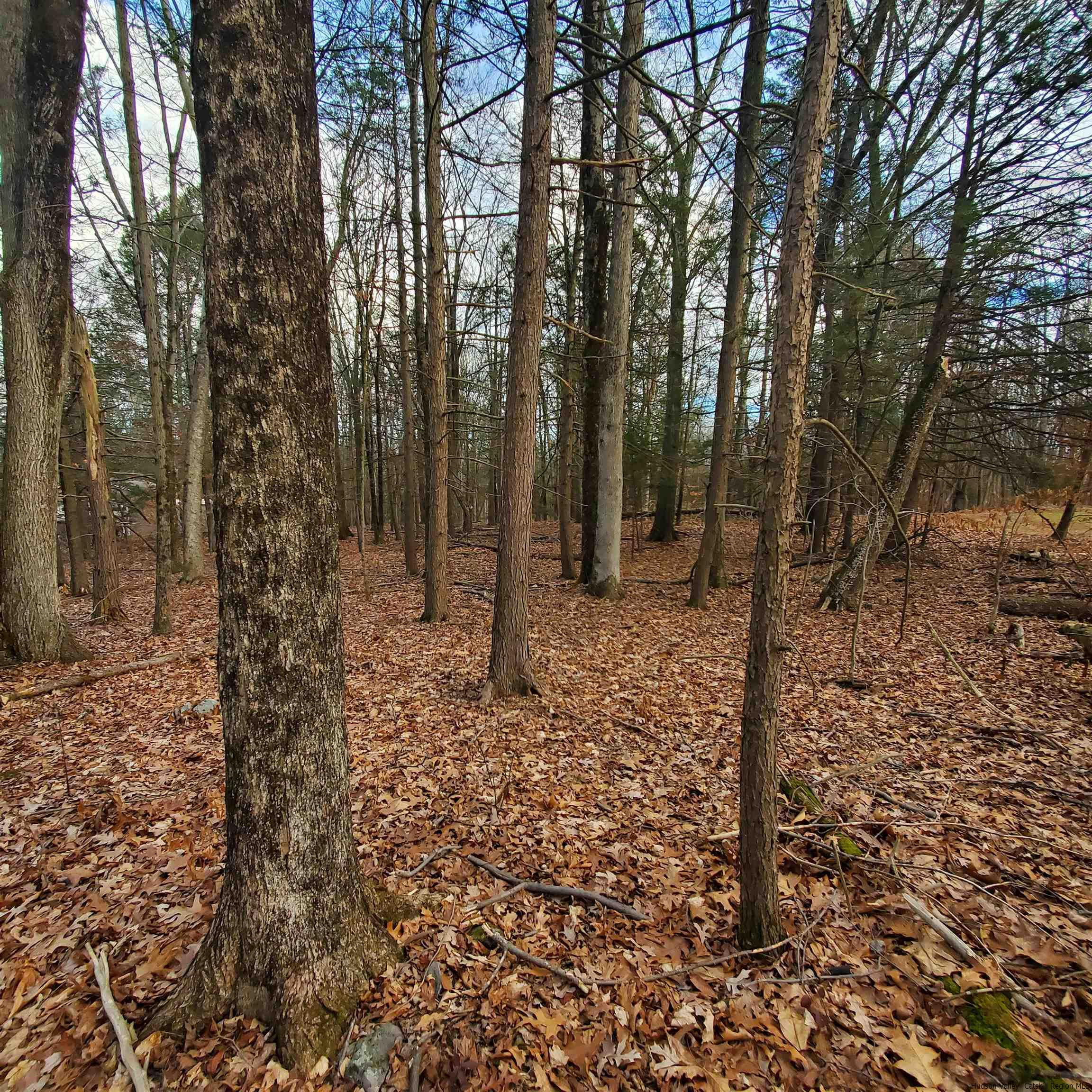 New Paltz, New York 12561, United States, ,Land,Pending,71460
