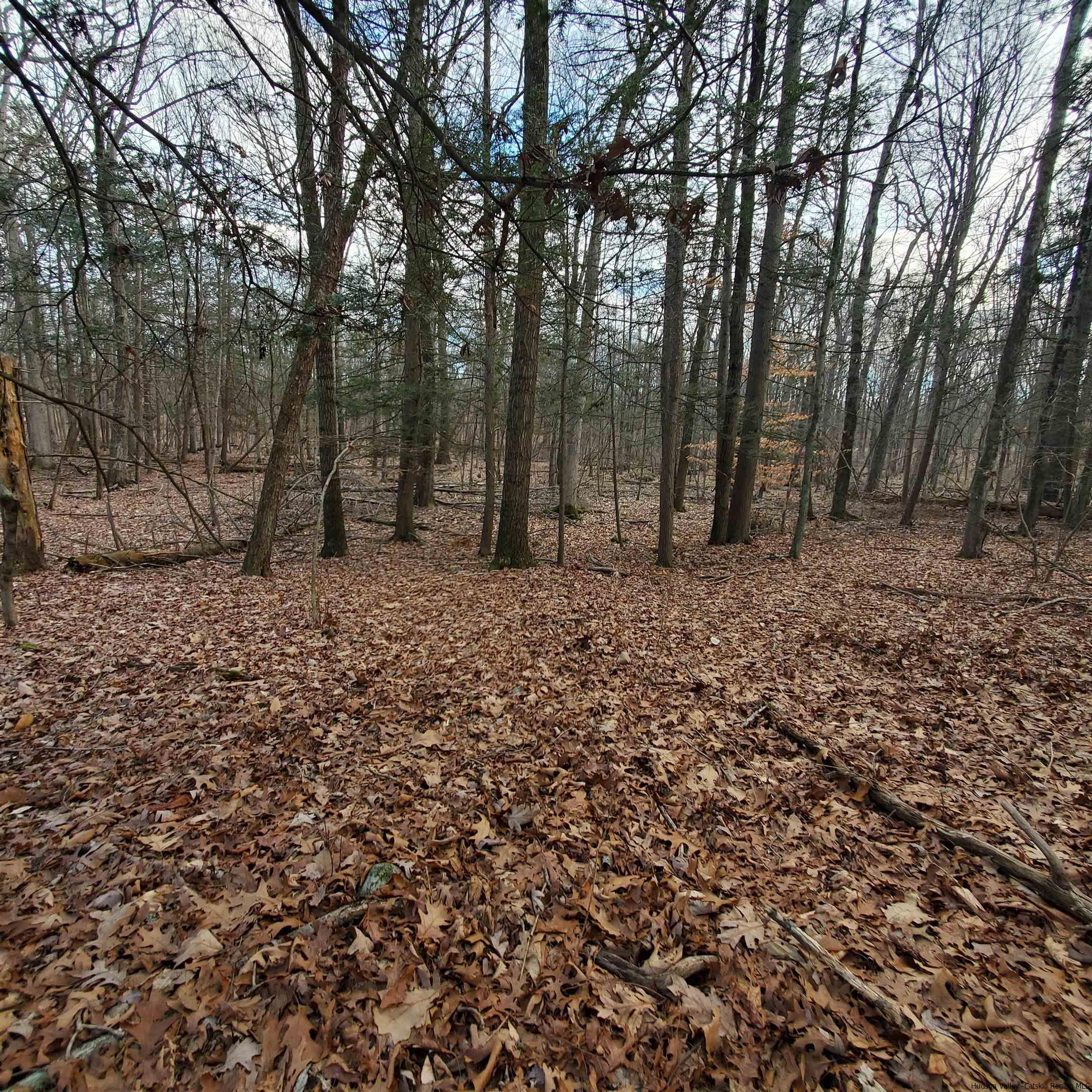 New Paltz, New York 12561, United States, ,Land,Pending,71460