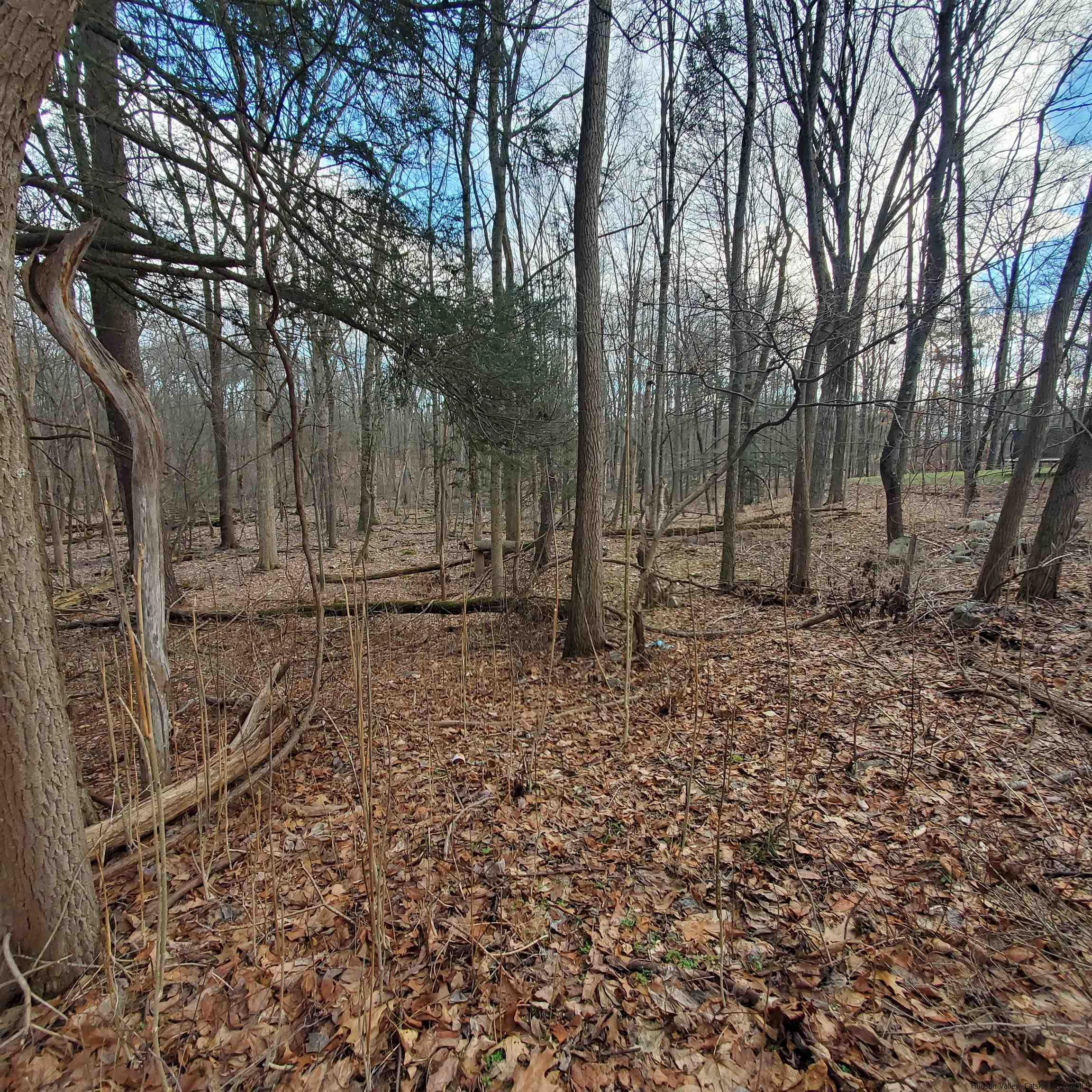 New Paltz, New York 12561, United States, ,Land,Pending,71460