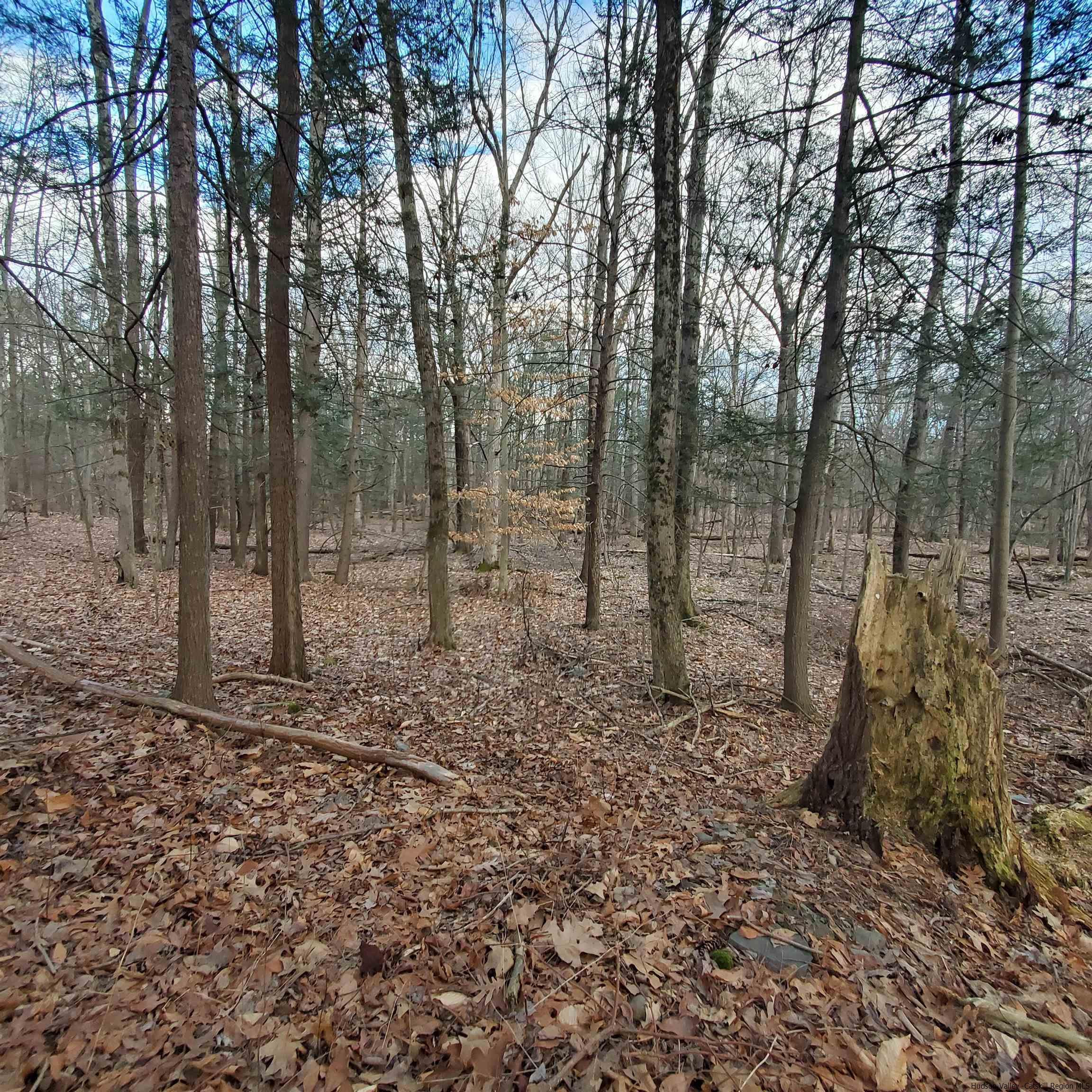 New Paltz, New York 12561, United States, ,Land,Pending,71460