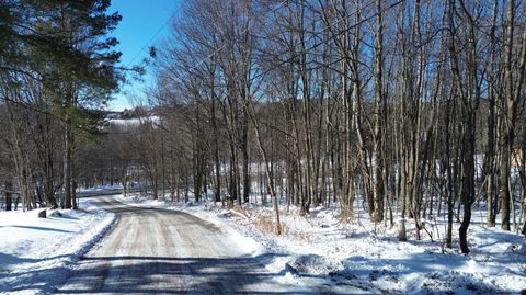 Vacant Land For Sale - Mountain View Road<br/> Windham, NY 12496