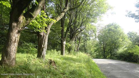 Vacant Land For Sale - TBD Henry Road<br/> Cragsmoor, NY 12420