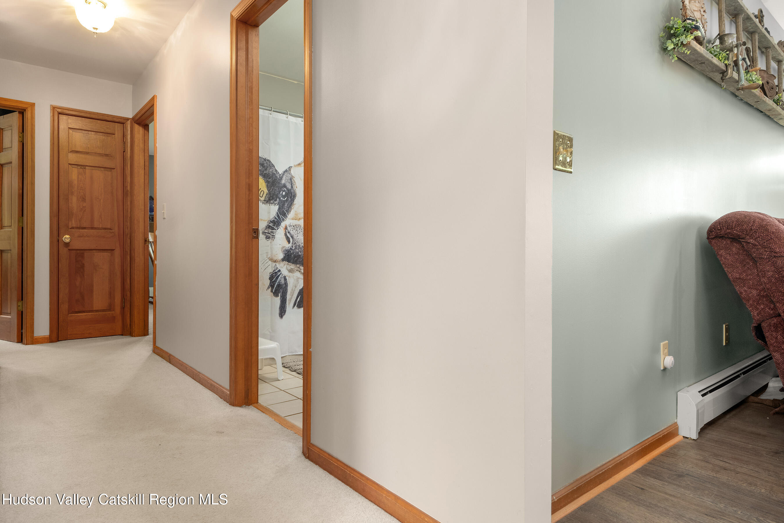 532 Wilbur Hill Road, Butternuts, New Mexico image 17