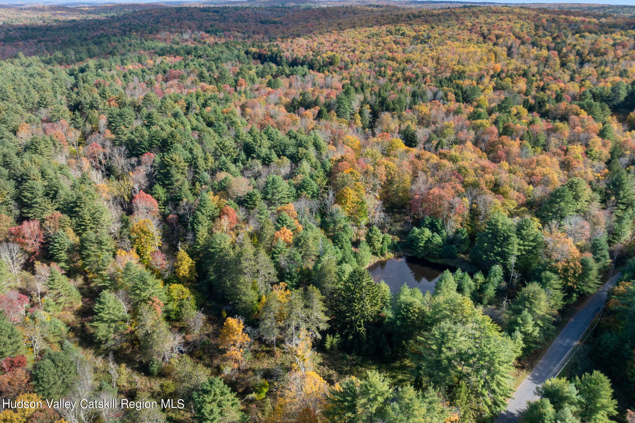 378 Gregory Rd Rd, Monticello, New York -  - 