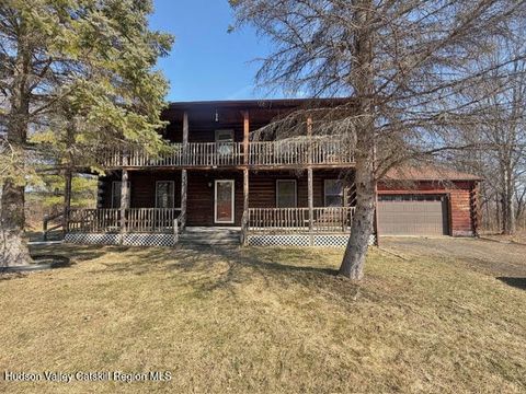 Photo of 128 Debbie Drive, Athens, NY 12015 (MLS # 20260945)