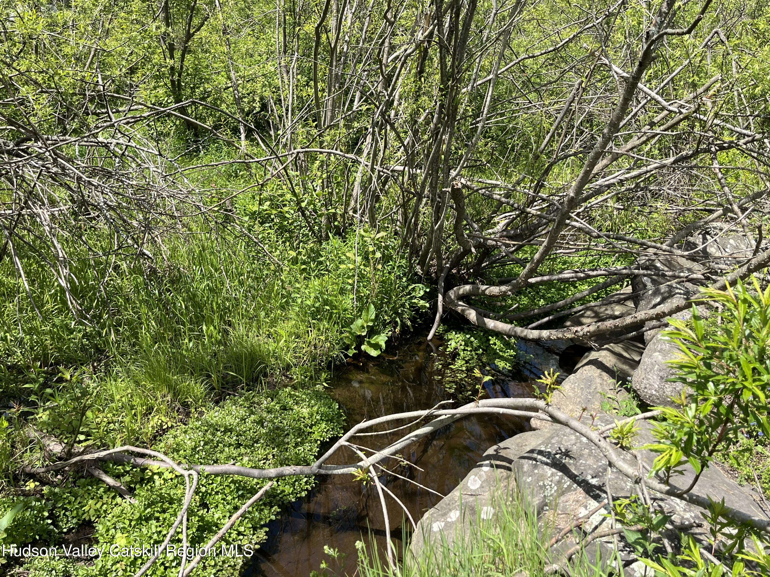 27 W Grays Lane, Tannersville, New Mexico image 6