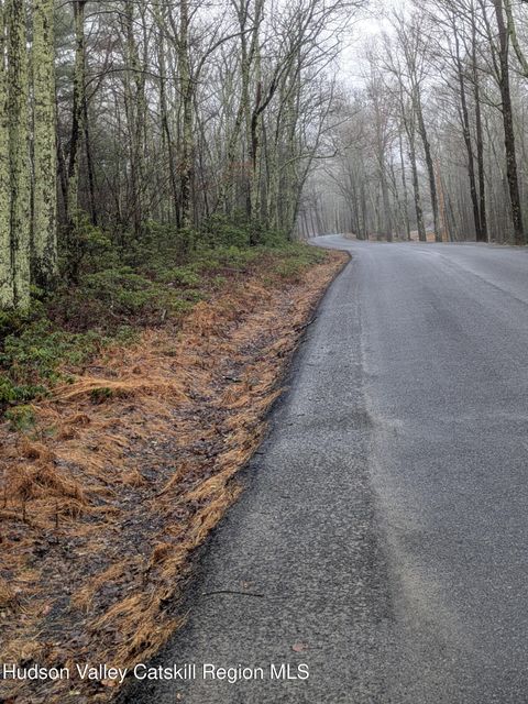 Vacant Land For Sale - 99 Otens Road<br/> Wawarsing, NY 12489