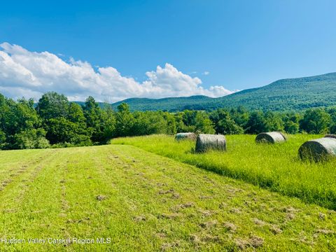 Vacant Land For Sale - 183 Pratt Road Rd<br/> Cornwallville, NY 12418