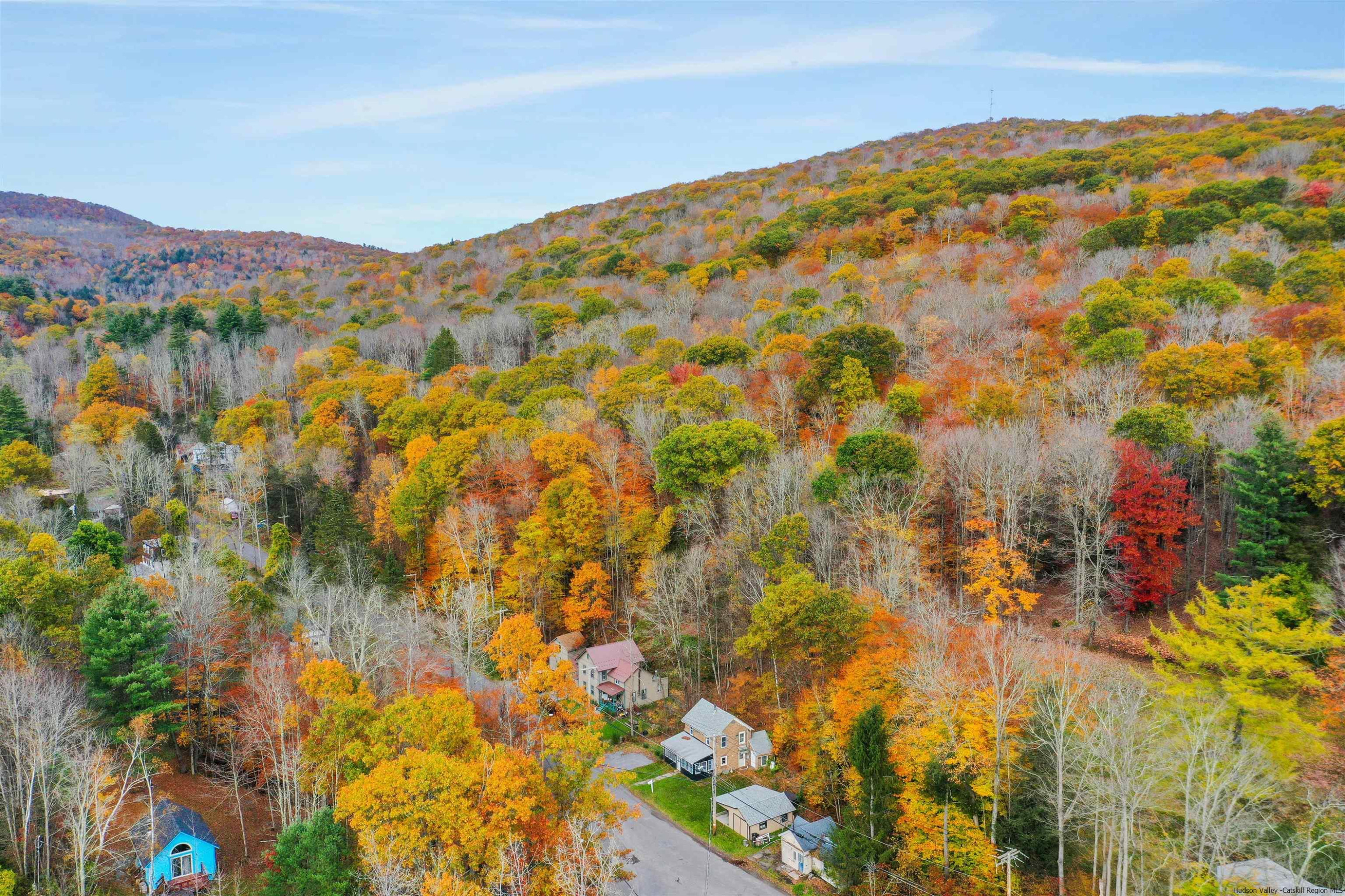 Pine Hill, New York 12465, United States, 3 Bedrooms Bedrooms, ,2 BathroomsBathrooms,Residential,Active,69095