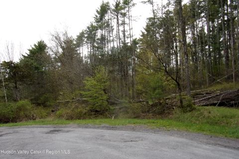 Homes For Sale - 128 Klingermann Drive<br/> Cairo, NY 12413