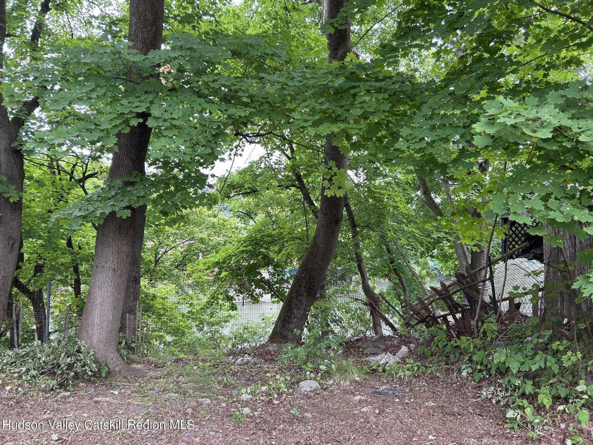 235 Water Street, Catskill, New York image 4