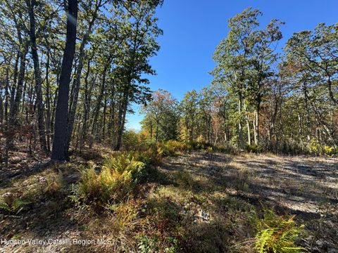 Vacant Land For Sale - O Mercer Mountain Road<br/> Canaan, NY 12029