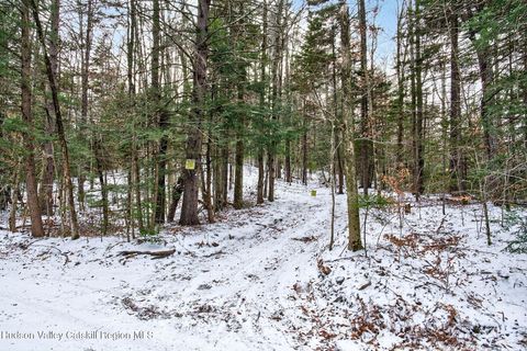 Vacant Land For Sale - TBD Roaring Kill Road<br/> Greene County, Elka Park, NY 12427