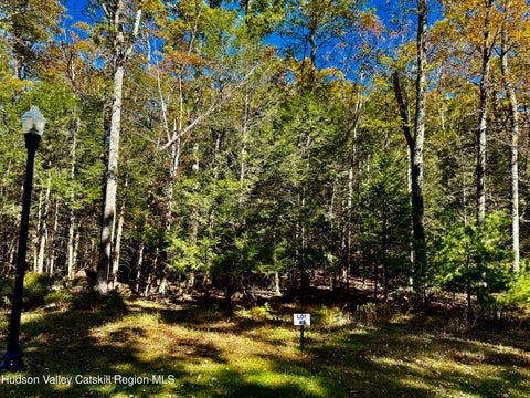 Vacant Land For Sale - 78 Falling Waters Drive Drive<br/> Greene County, Palenville, NY 12463