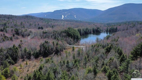 Vacant Land For Sale - Ford Hill Road<br/> Jewett, NY 12444