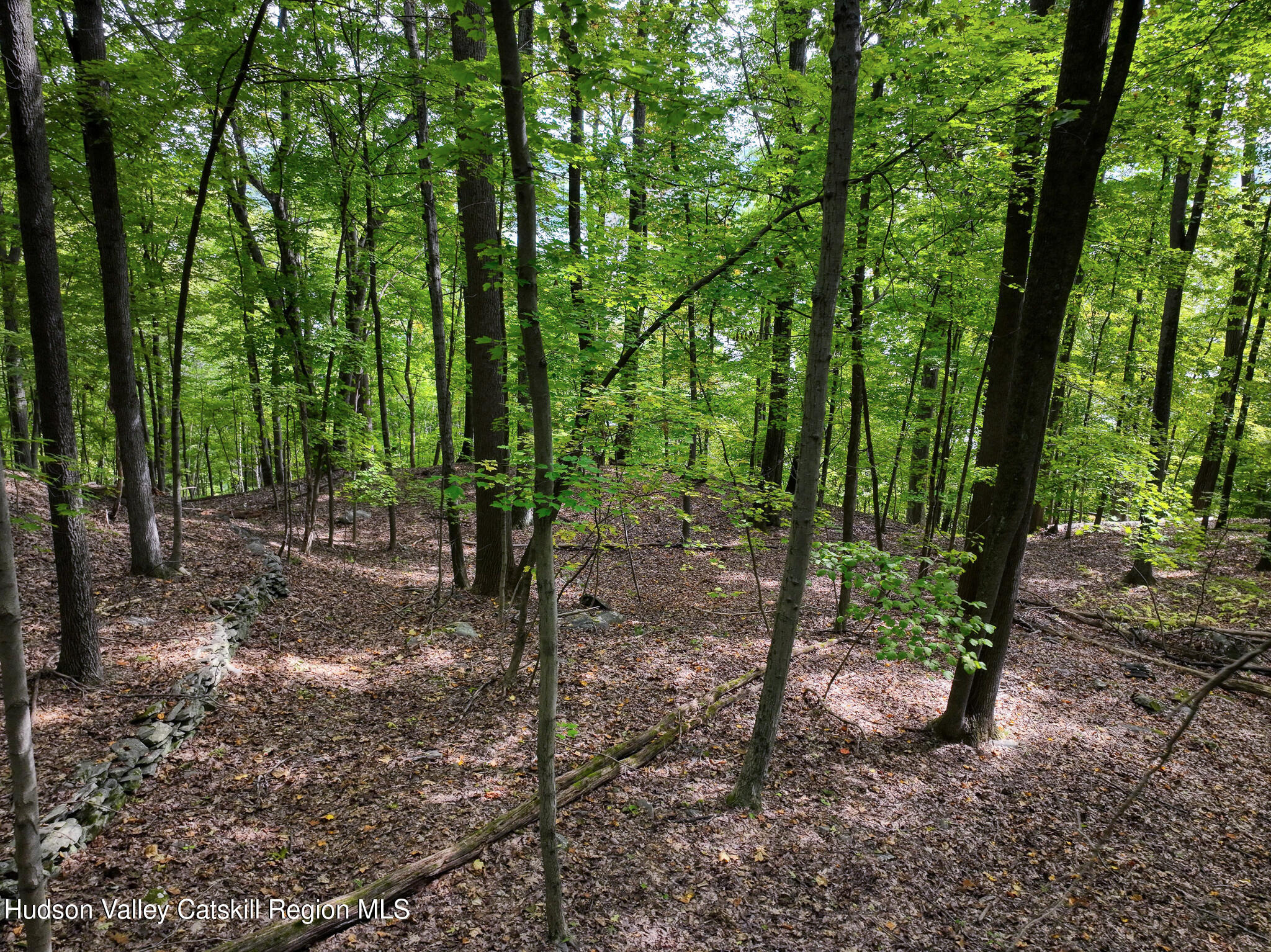 Highland, New York 12528, United States, ,Land,Active,217136